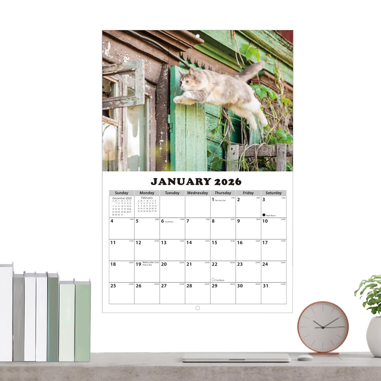 2026 gato inglês calendário de - English Home Office avaliação e preço